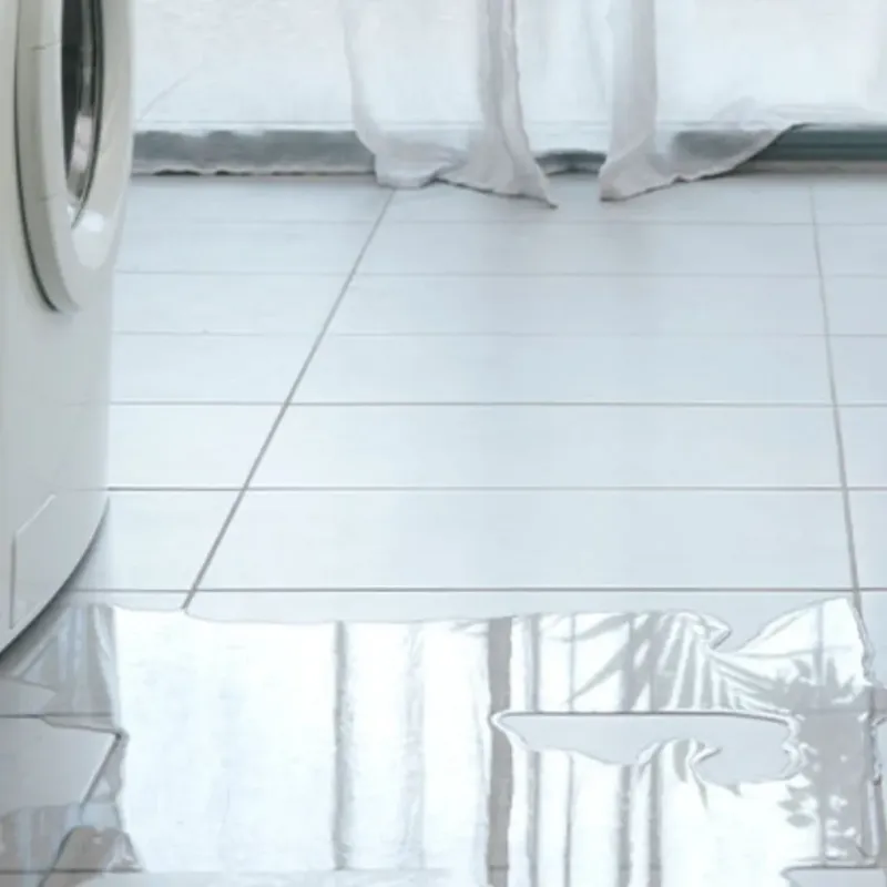 Appliance Leak Cleanup in Eden Prairie, MN