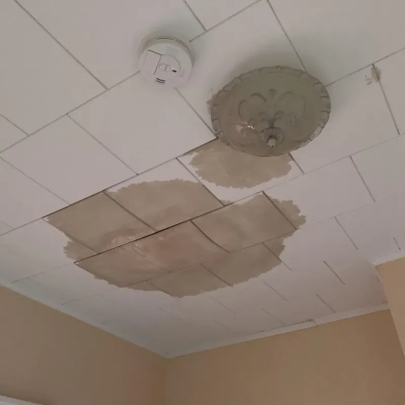 Ceiling Water Damage Repair in Eden Prairie, MN